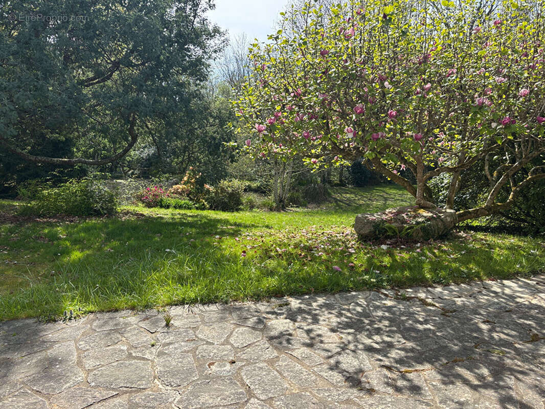 Maison à MOELAN-SUR-MER