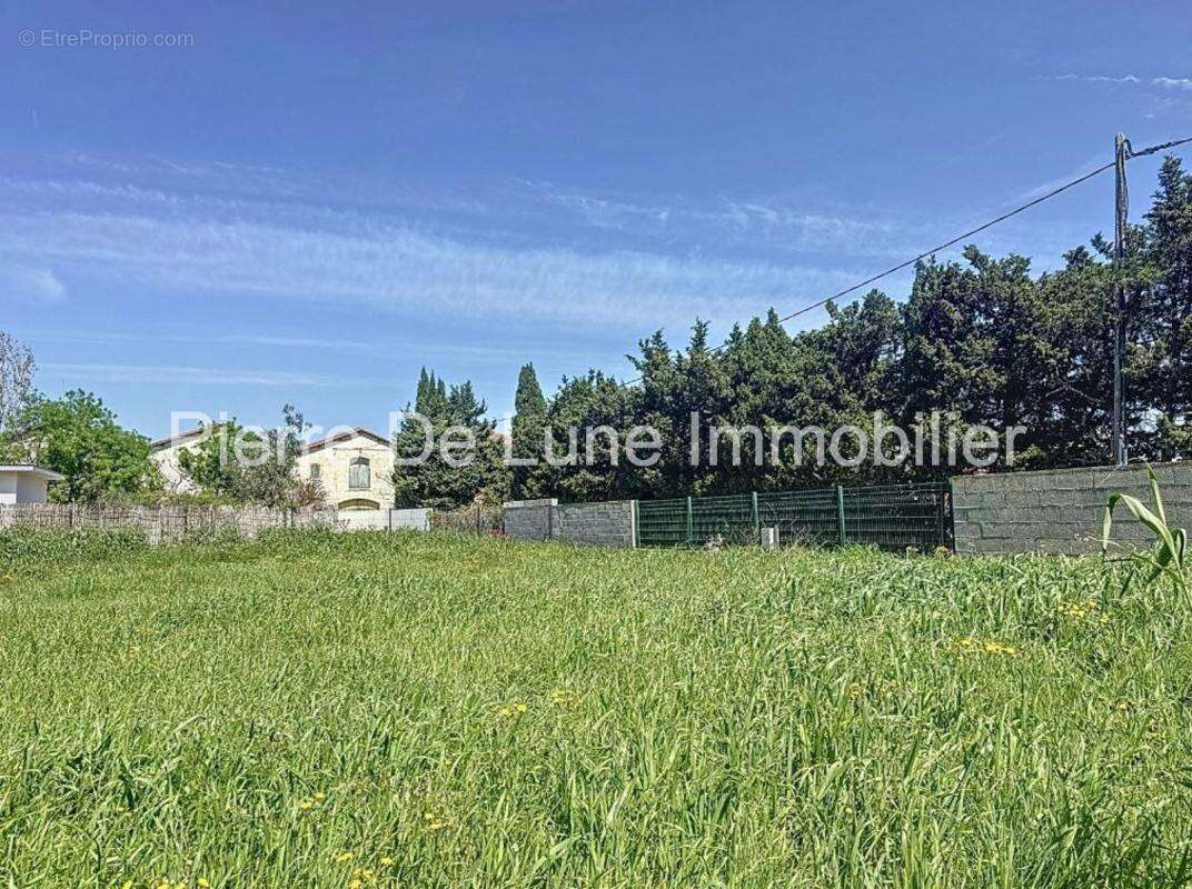Mas Llaro, beau terrain plat 2000 m², viabilisé, clos, au calme - photo 7