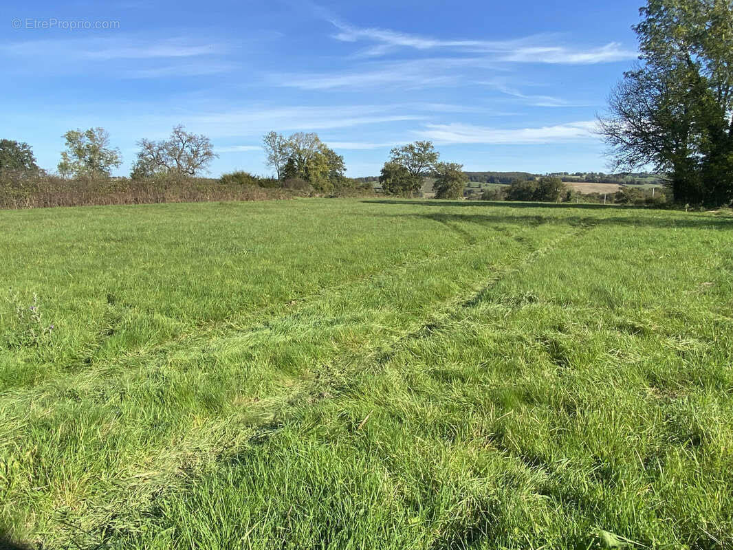Terrain à TREZELLES