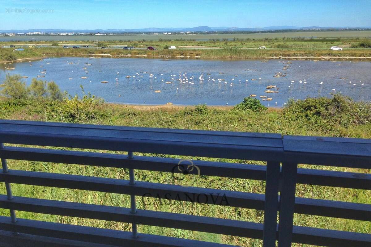 Appartement à LA GRANDE-MOTTE