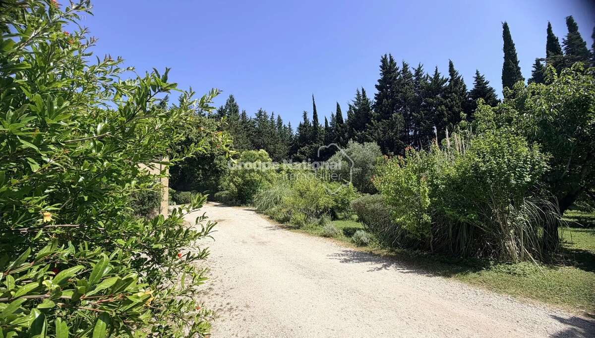 Courthezon - ensemble immobilier de 385 m² en campagne - photo 6