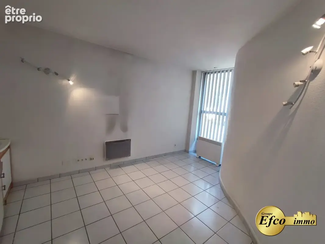 Commerce 54 m² à vendre à Altkirch (68130) - photo 4