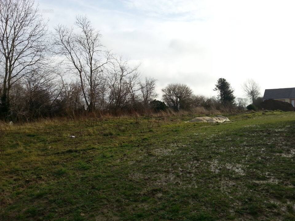 Terrain à LES GRANDES-VENTES