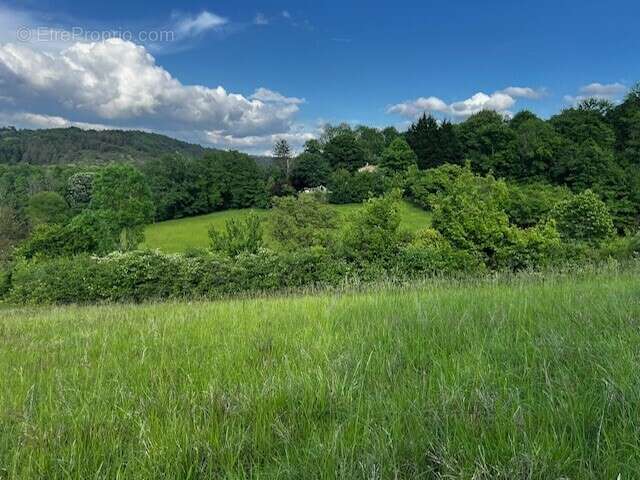 Terrain à SAINT-PAUL-DE-SERRE
