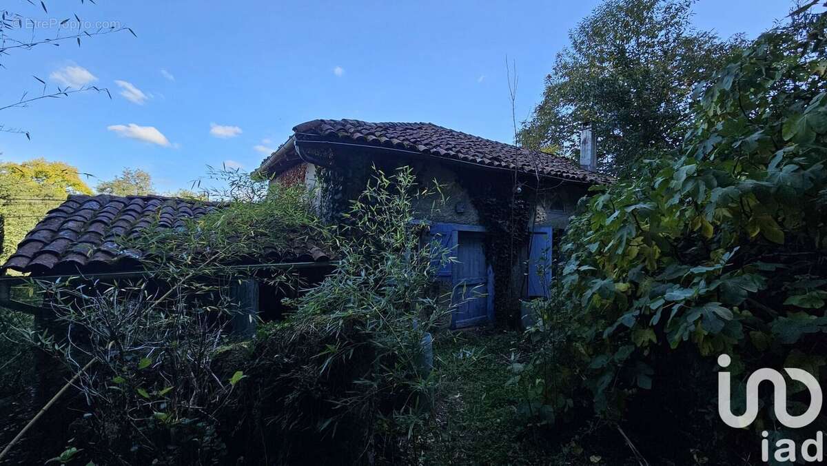 Photo 5 - Maison à MAURS