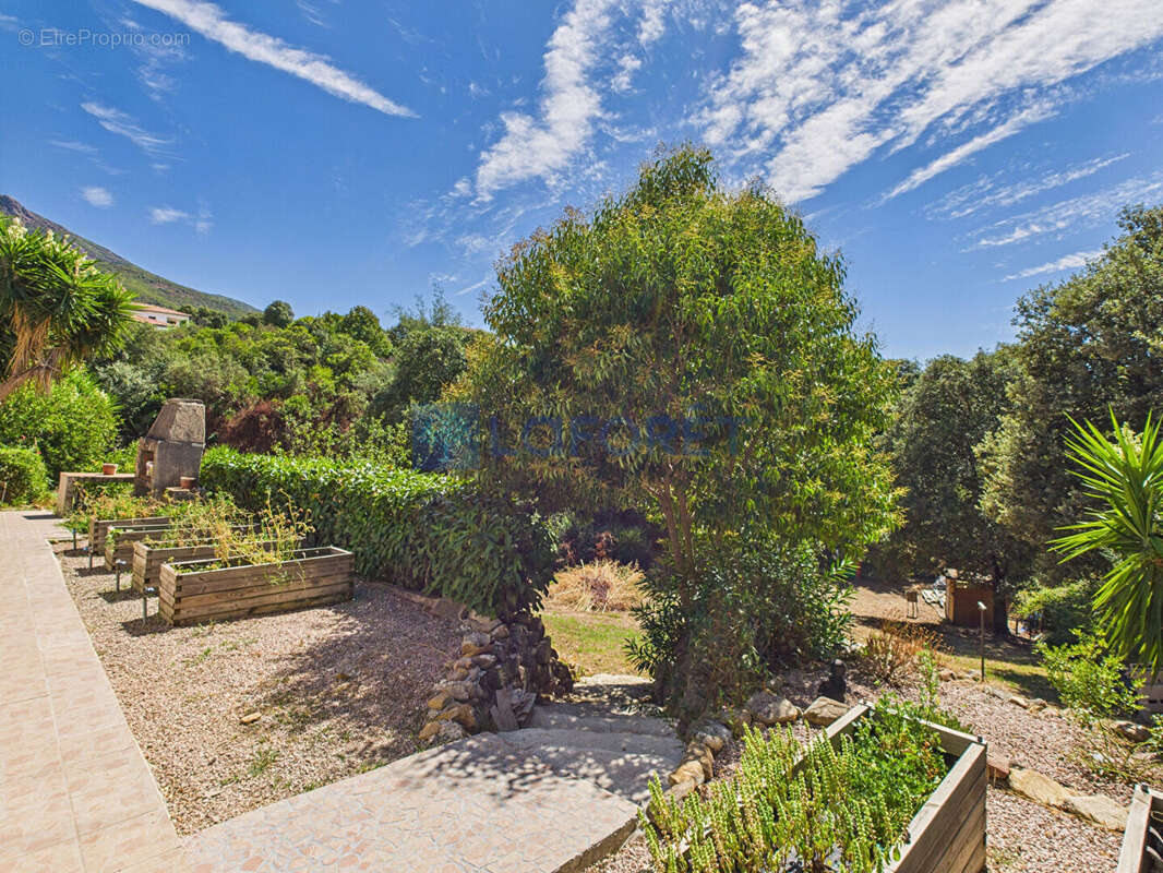 Maison à CUTTOLI-CORTICCHIATO