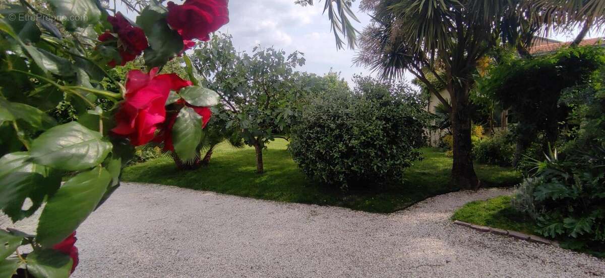 Photo 3 - Maison à PONT-SAINT-MARTIN