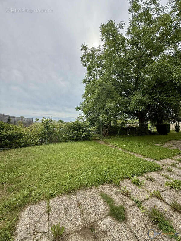 Maison 261 m² à Petit-Rederching  - photo 3