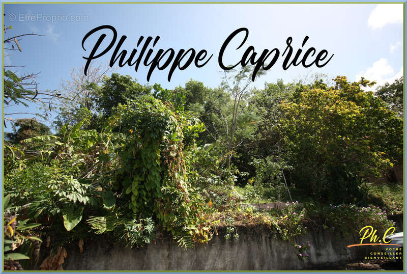 Dpt Martinique (972), à vendre LE FRANCOIS terrain - photo 3