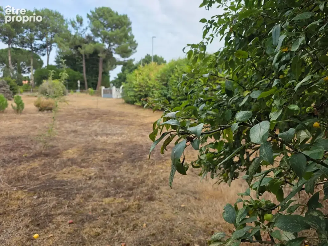 Terrain à BIGANOS