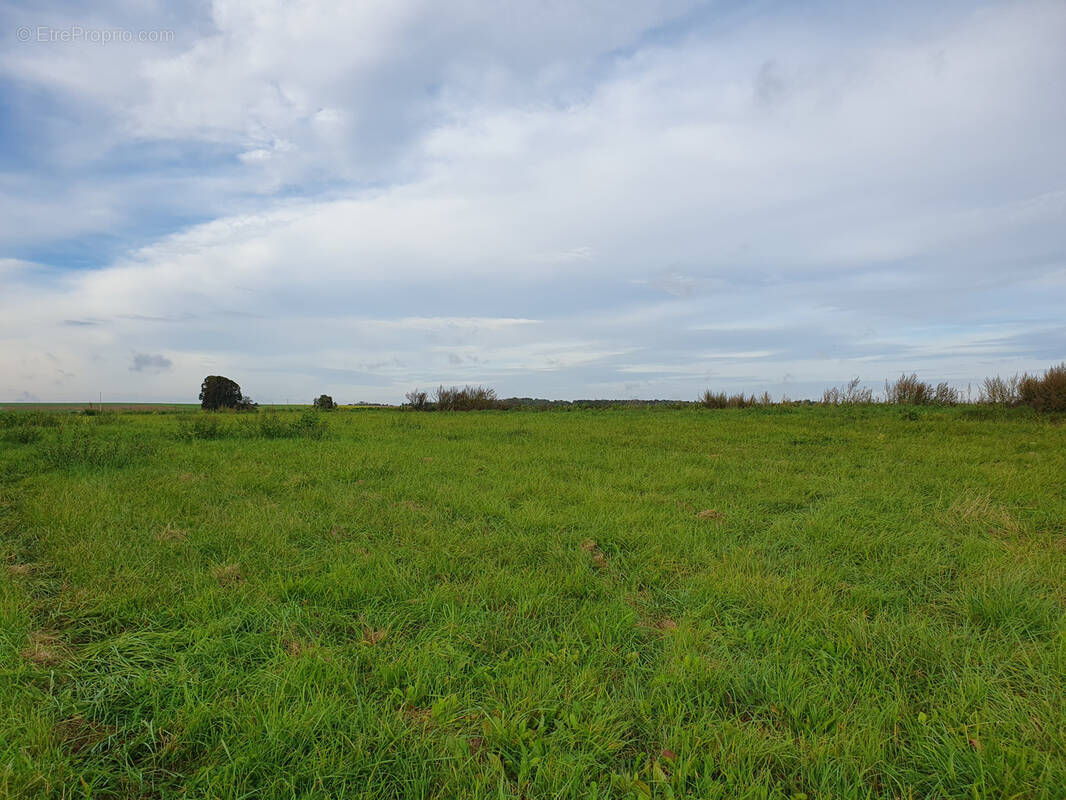 Terrain à PICQUIGNY