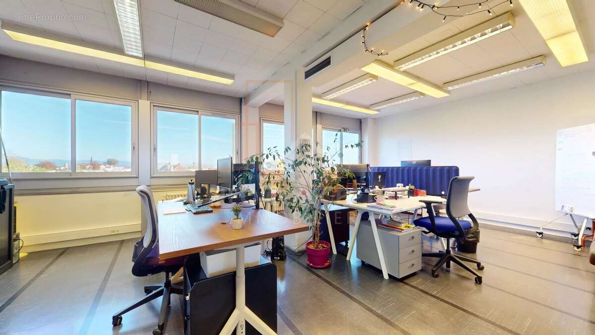 Commerce à STRASBOURG