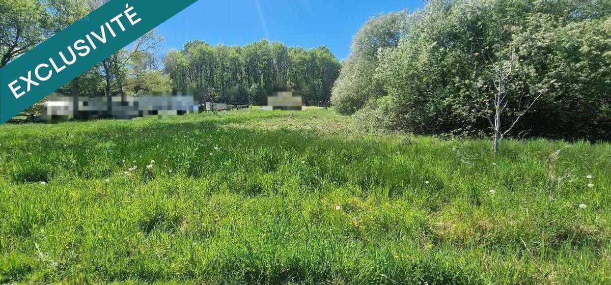 Photo 2 - Terrain à SOUEICH