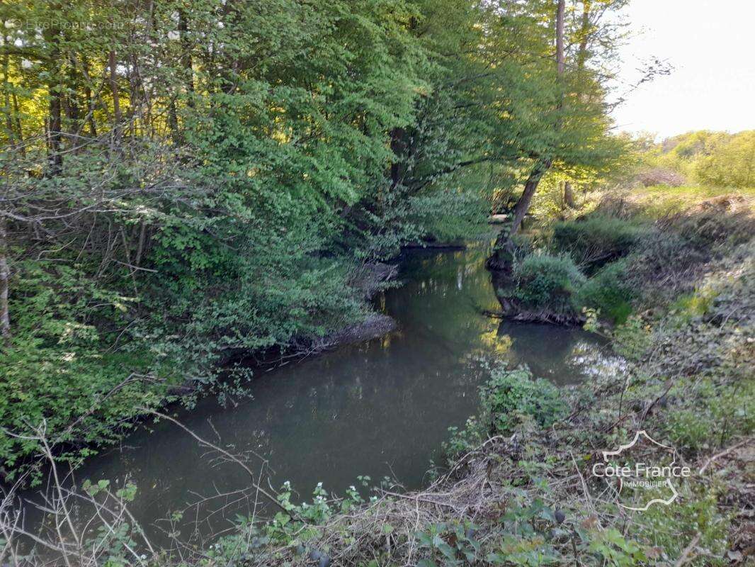 Terrain à FERON
