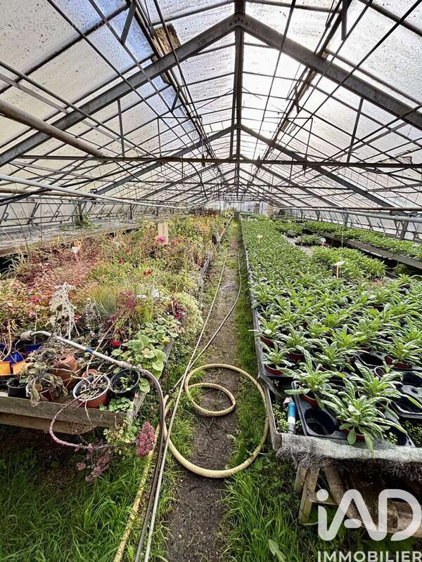 Photo 5 - Terrain à JOIGNY