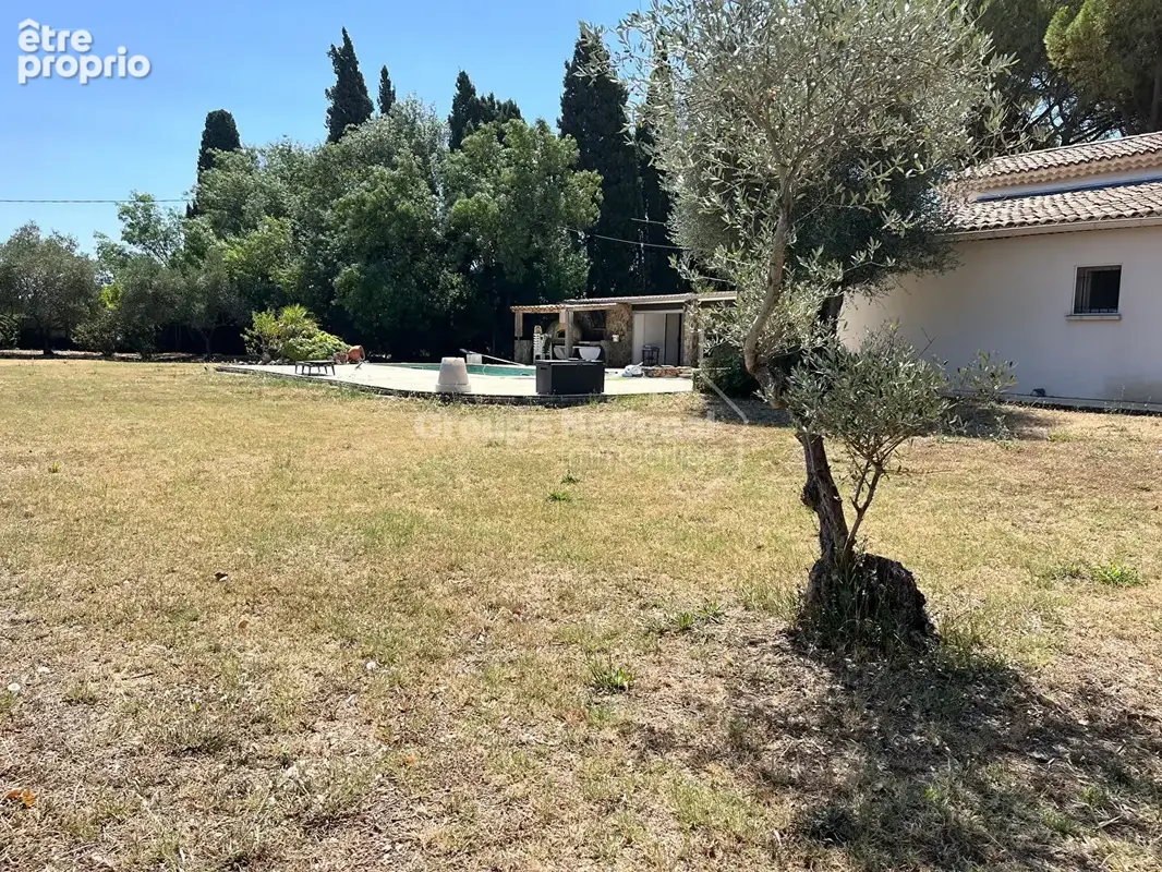 Maison individuelle piscine dependance. - photo 18