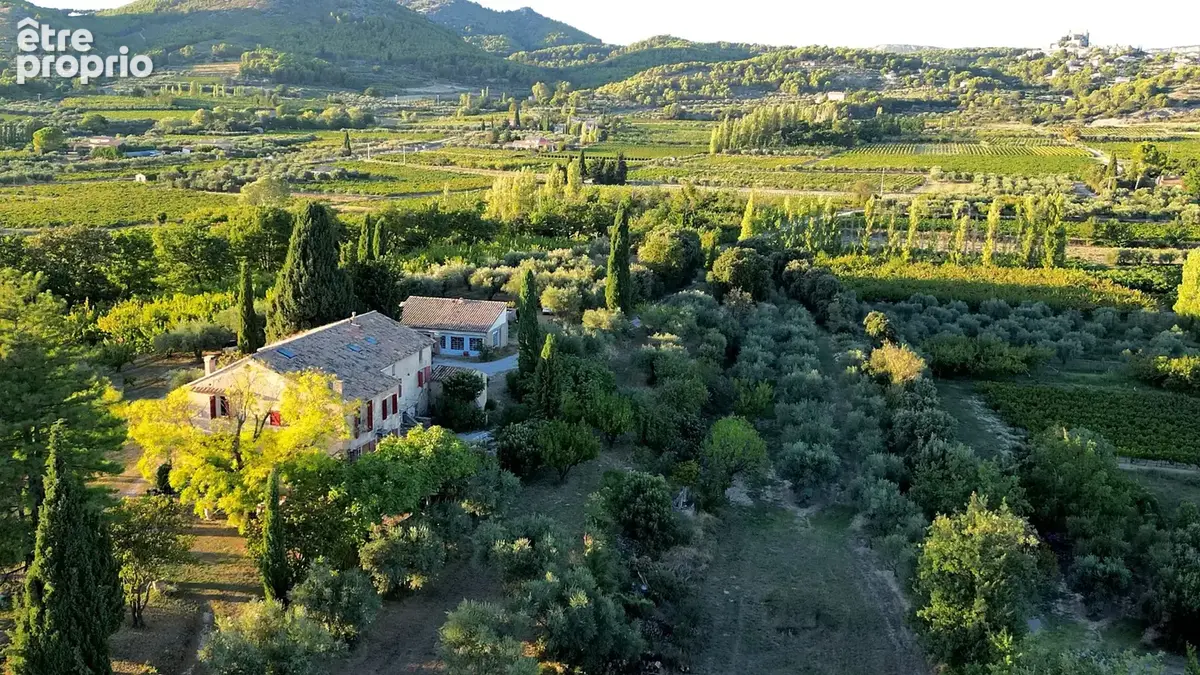 Demeure oliviers verger et vignes - photo 17