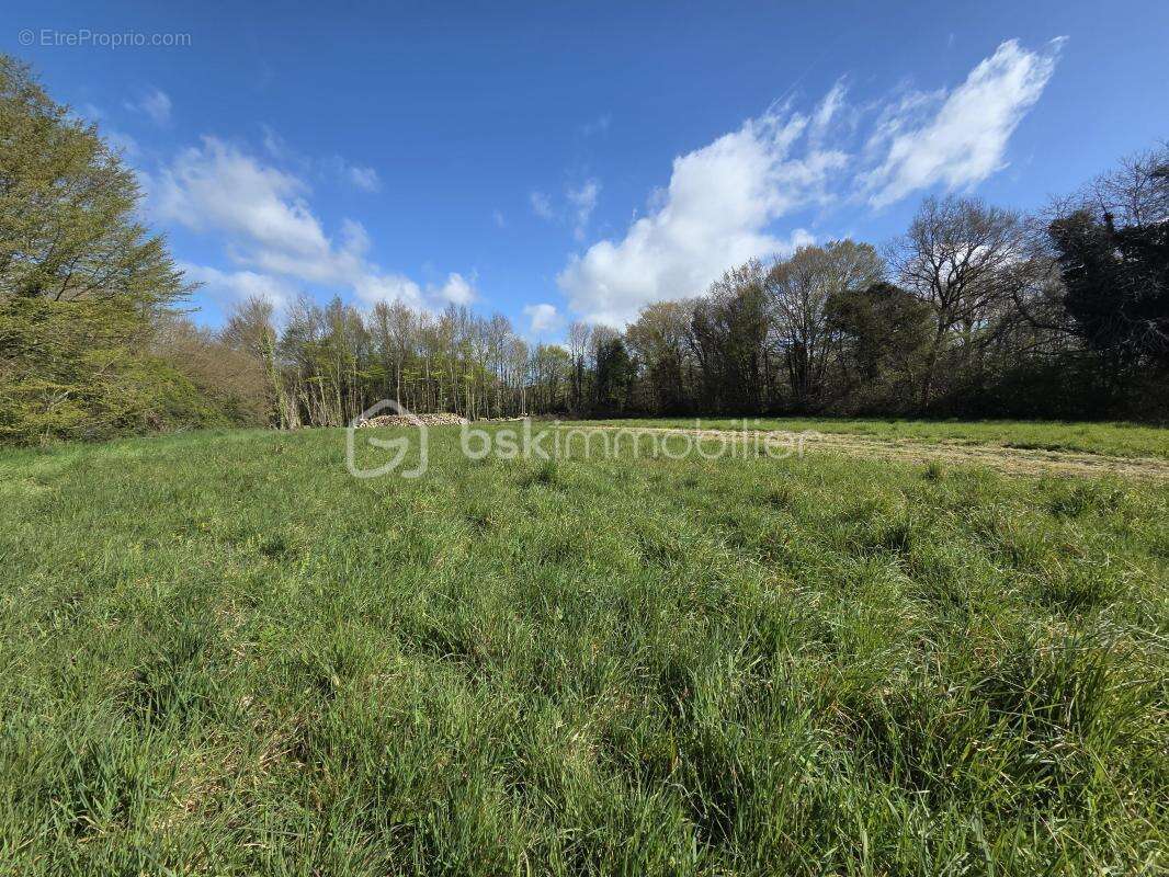 Ensemble immobilier à fort potentiel – calme, verdure et multiples dépendances - photo 30