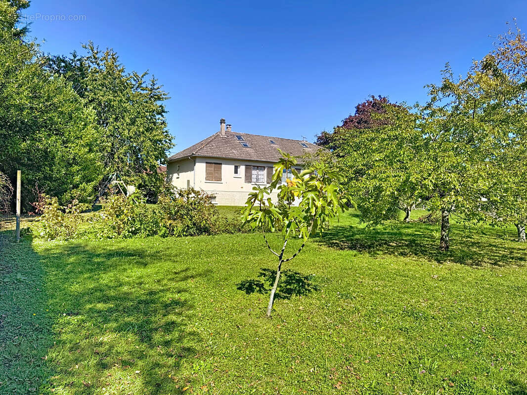 Maison à MONTMIRAIL