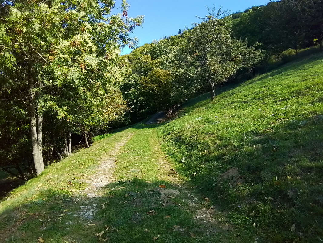 Maison à ANTRAIGUES-SUR-VOLANE