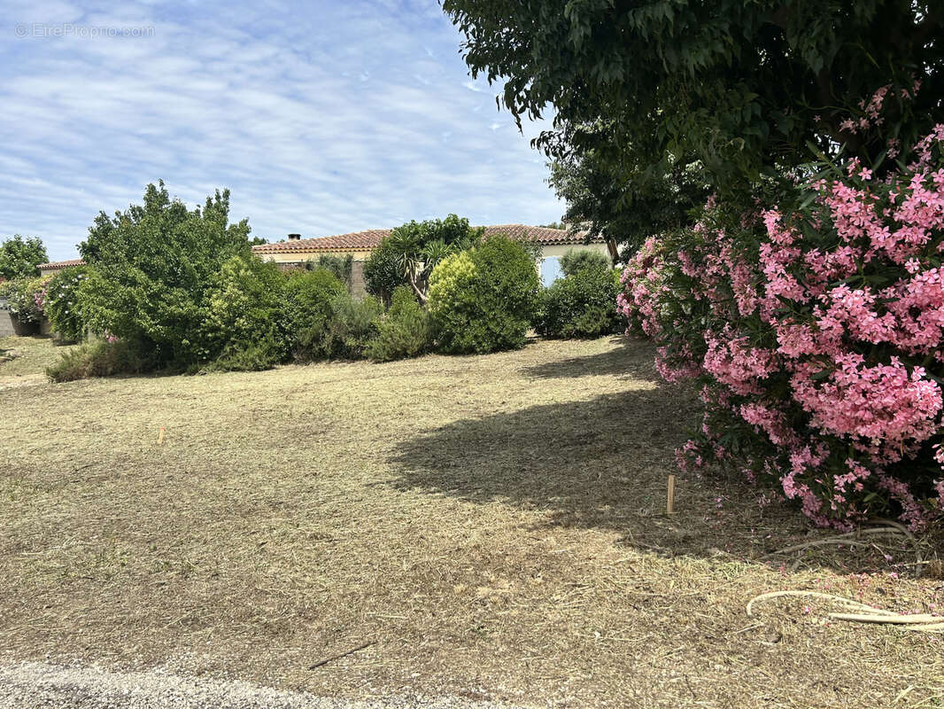 Terrain à MARSEILLE-13E