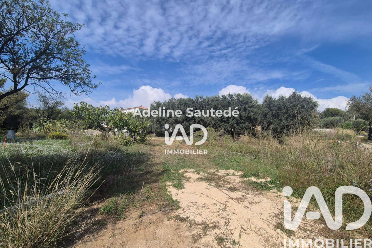 Photo 4 - Terrain à SAINT-CYR-SUR-MER