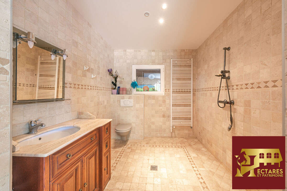 Magnifique domaine 6,4 hectares + fermages - photo 18