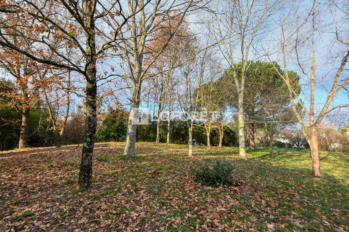 Terrain à PARISOT