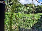 Terrain à SAINT-ANDRE