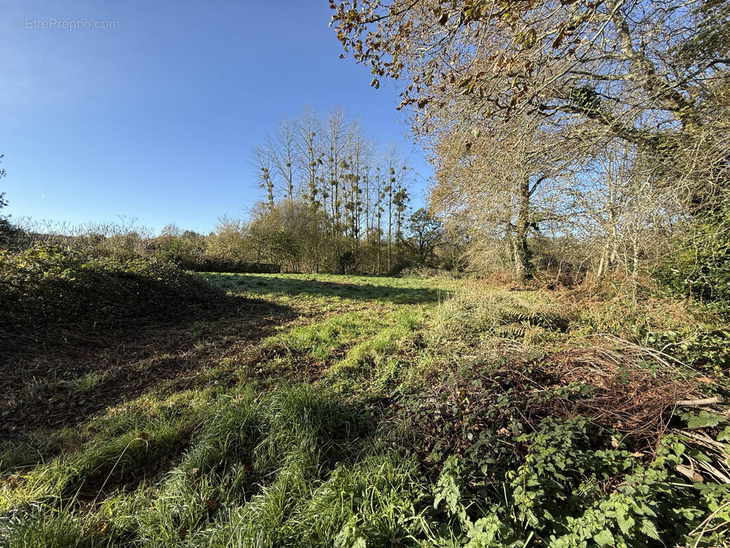 Terrain à TREMEVEN