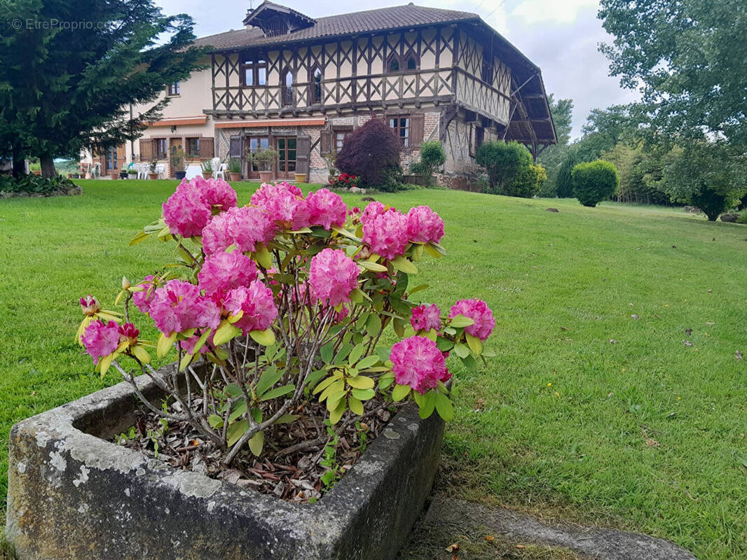 Maison à SAINT-ETIENNE-DU-BOIS