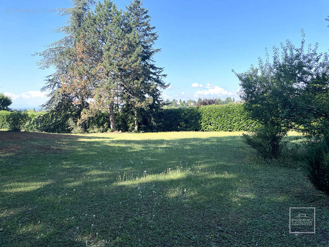 Terrain à SAINT-DIDIER-AU-MONT-D'OR