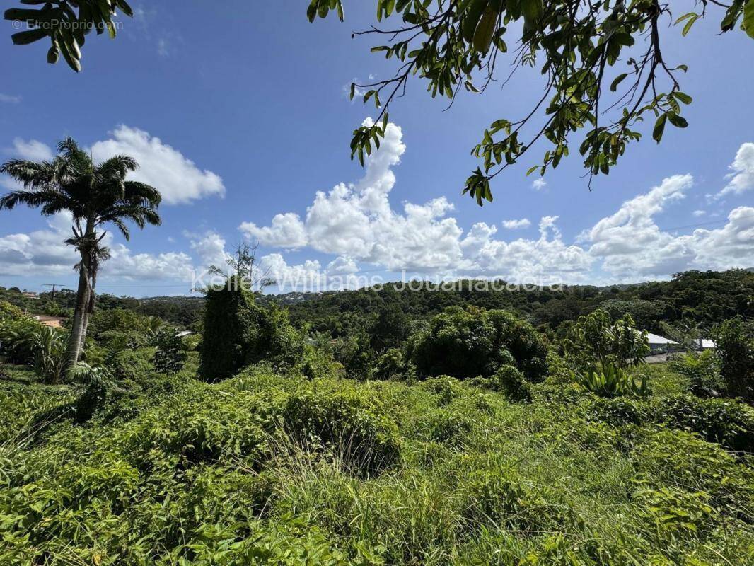 Terrain à SAINT-JOSEPH