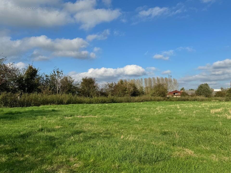 Terrain à BRUILLE-LEZ-MARCHIENNES
