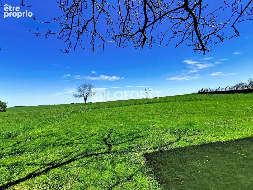 Authentique Ferme Rénovée à Genay (Exclusivité) - photo 13