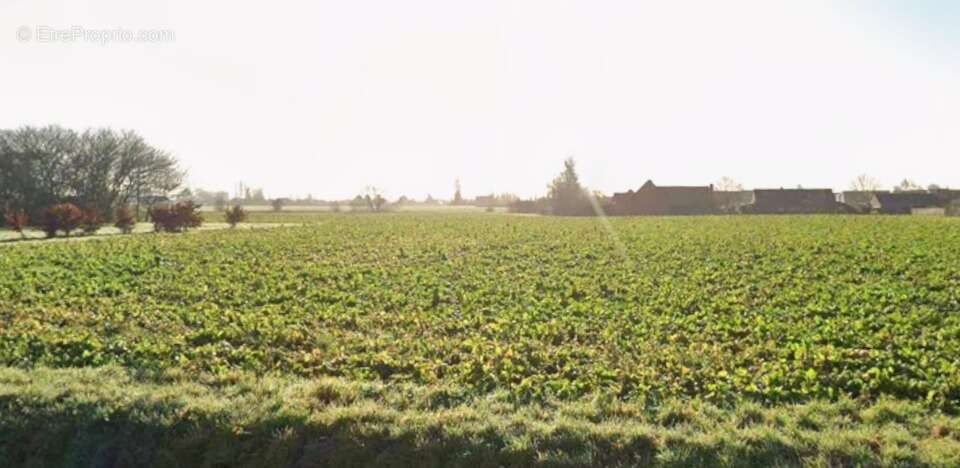 Terrain à FLEURBAIX