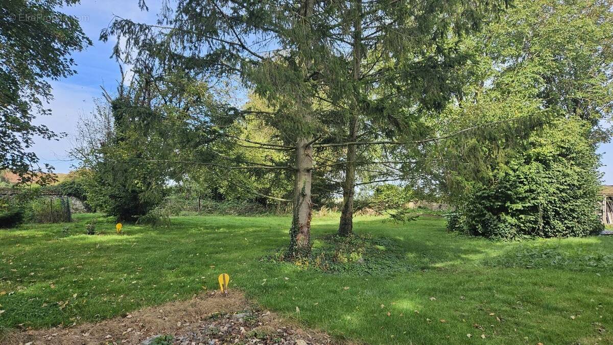 Terrain à SAINT-MARD