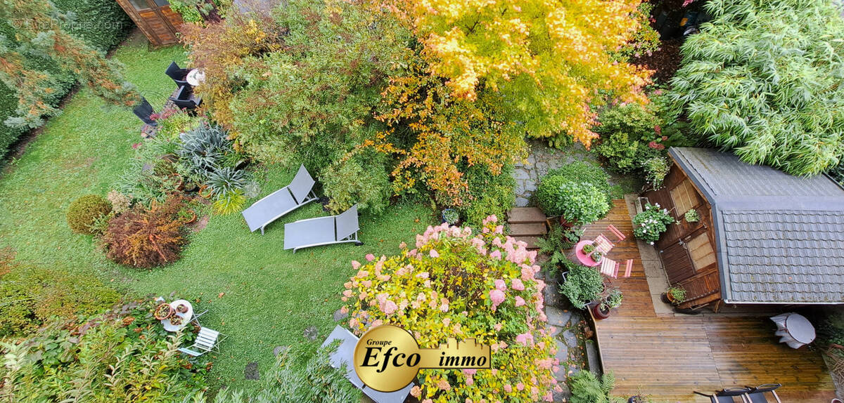 Appartement à THANN