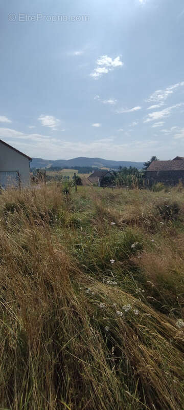 Terrain constructible Malzieu Ville - photo 2