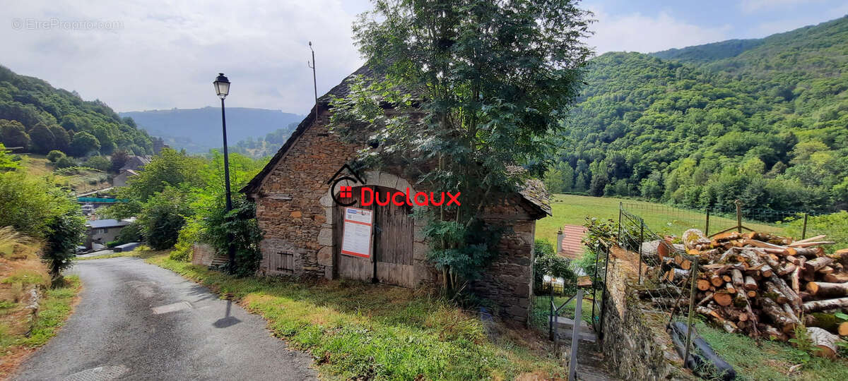 Maison à VIEILLEVIE