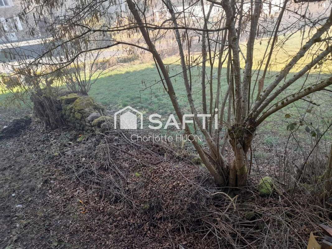 Photo 5 - Maison à AMBERT