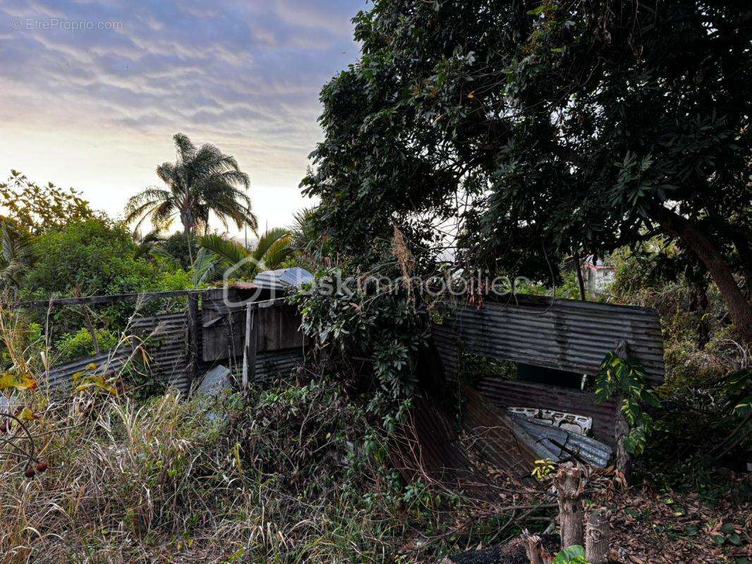 Terrain à SAINT-LEU