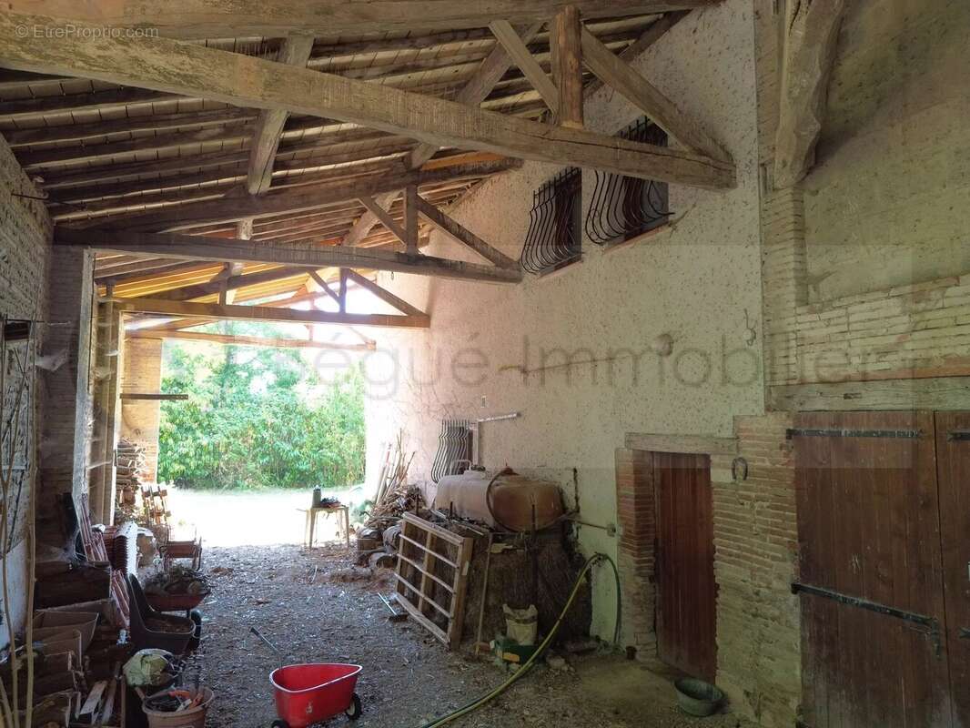 Maison 296 m² à Pibrac  - photo 4