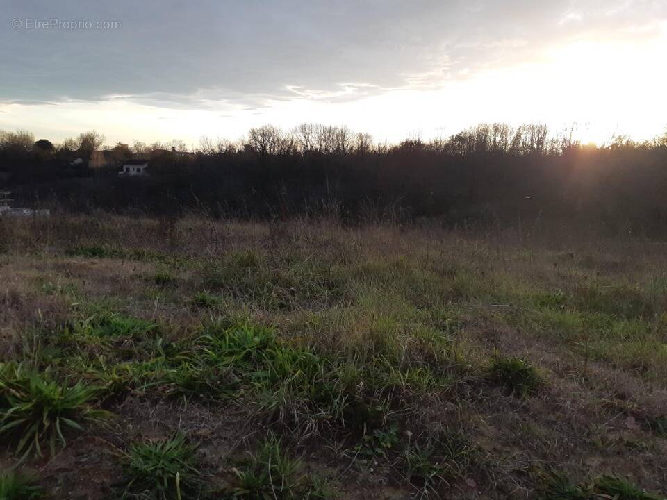 Terrain à CASTELNAU-D'ESTRETEFONDS