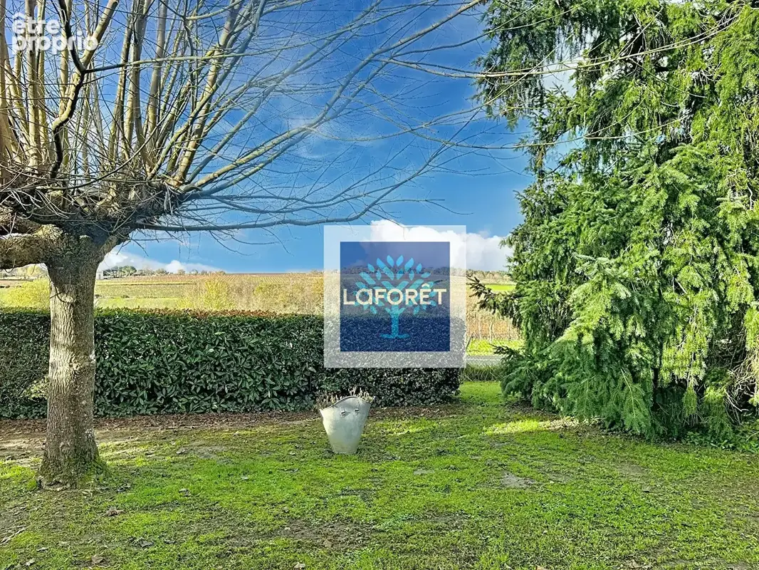 Maison 4 chambres avec magnifique vue et parc arboré de 8 000 m² - photo 3
