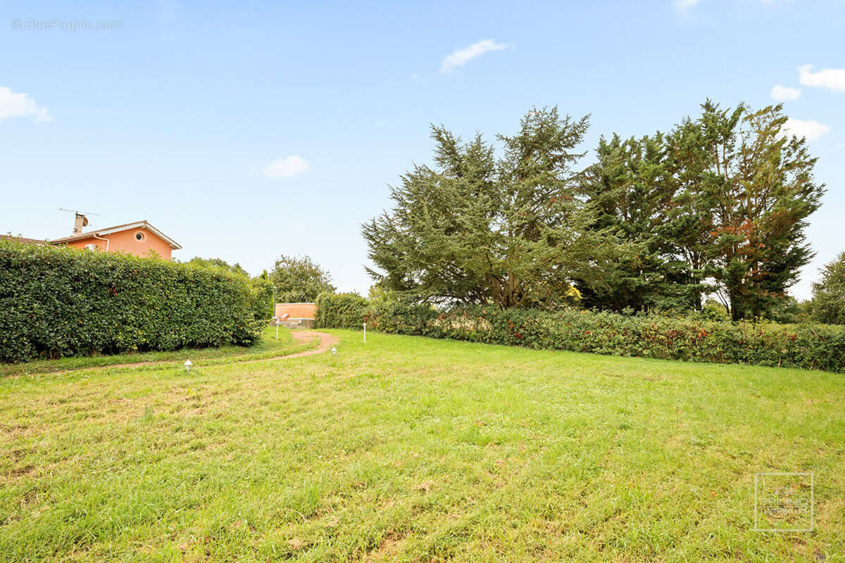 Maison à MIONNAY