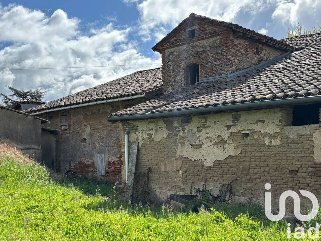 Photo 5 - Maison à LISLE-SUR-TARN