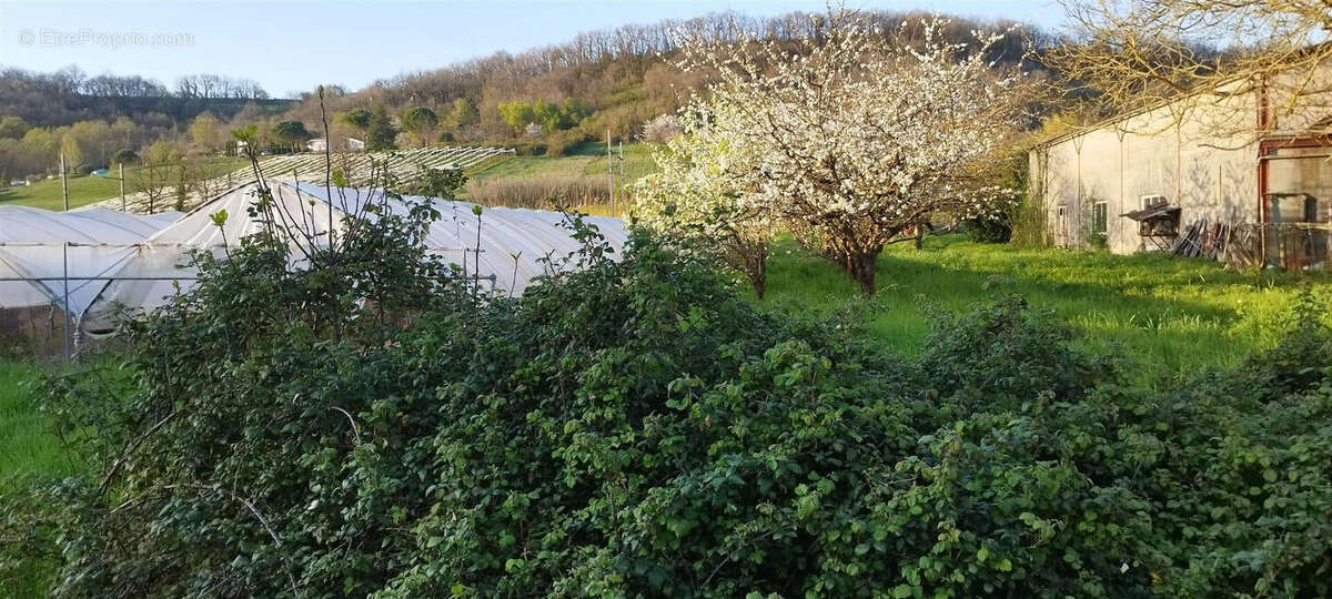 Maison à CLERMONT-DESSOUS
