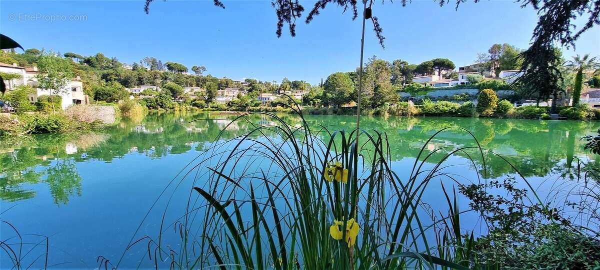 Maison à VILLENEUVE-LOUBET