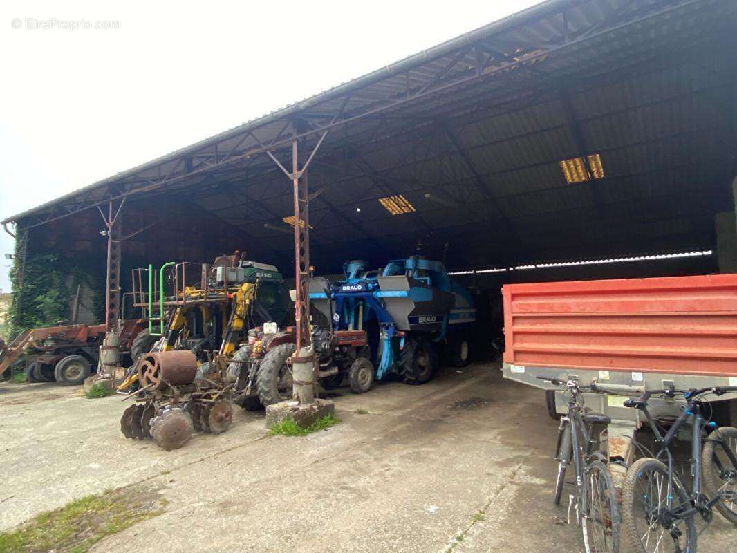 Maison à SAINT-MAGNE-DE-CASTILLON